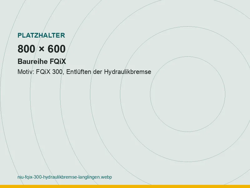 NIU FQiX 300 mit geöffnetem Bremsflüssigkeitsbehälter am Lenker, daneben das Entlüftungswerkzeug